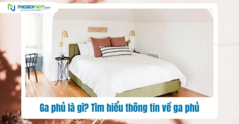 Ga phủ là gì? Tìm hiểu thông tin về ga phủ