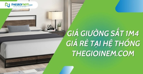 Giá giường sắt 1m4 giá rẻ tại hệ thống Thegioinem.com