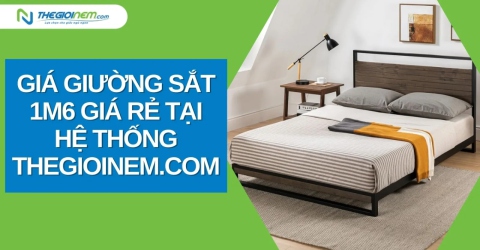 Giá giường sắt 1m6 giá rẻ tại hệ thống Thegioinem.com