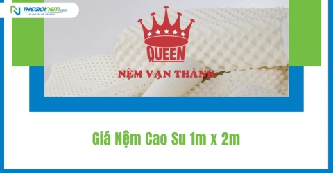 Giá Nệm Cao Su 1m x 2m Khuyến Mãi | Thegioinem.com