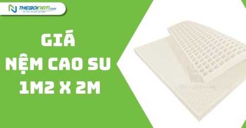 Giá nệm cao su 1m2 x 2m khuyến mãi + quà tại Thegioinem.com