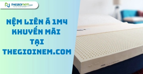 Giá Nệm Liên Á 1m4 Khuyến Mãi Hấp Dẫn Tại Thegioinem.com