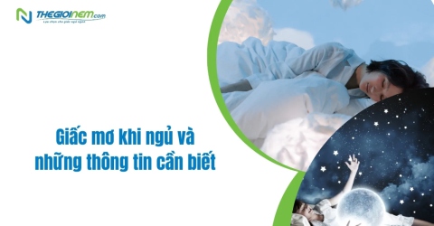 Giấc mơ khi ngủ và những thông tin cần biết