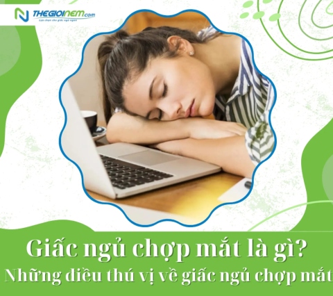 Giấc ngủ chợp mắt là gì? Những điều thú vị về giấc ngủ chợp mắt