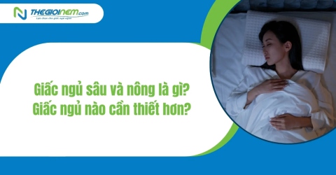 Giấc ngủ sâu và nông là gì? Giấc ngủ nào cần thiết hơn?