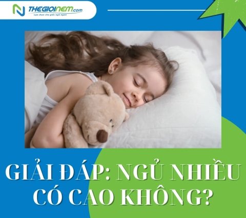 Giải đáp: Ngủ nhiều có cao không?