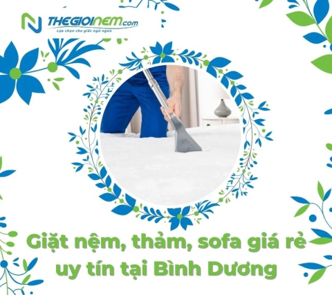 Giặt nệm, thảm, sofa giá rẻ uy tín tại Bình Dương | Thegioinem.com