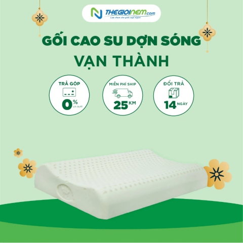 Gối cao su dợn sóng Vạn Thành Khuyến Mãi 25% + Quà | Thegioinem.com