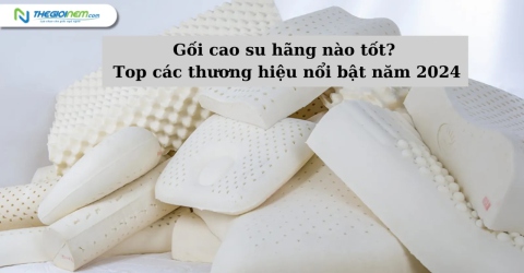 Gối cao su hãng nào tốt? Top các thương hiệu nổi bật năm 2024