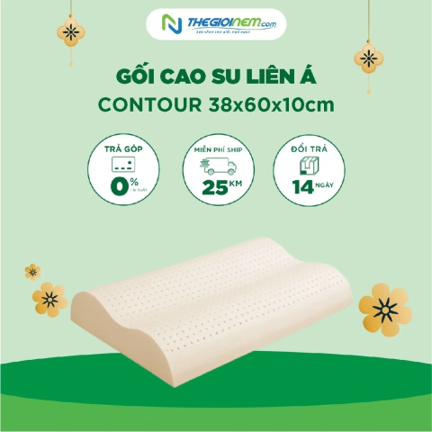 Gối Cao Su Liên Á Contour 38x60x10cm Sale 10% tại Thegioinem.com