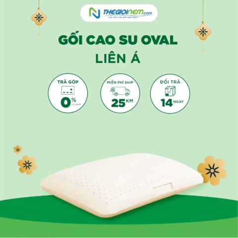 Gối Cao Su Oval Liên Á Khuyến Mãi 10% + Quà | Thegioinem.com