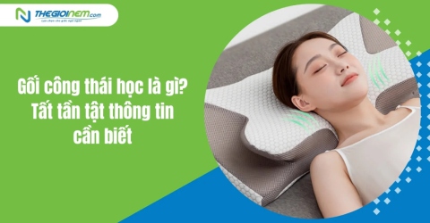 Gối công thái học là gì? Tất tần tật thông tin cần biết