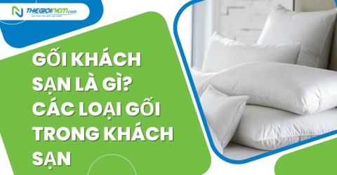 Gối khách sạn là gì? Các loại gối trong khách sạn