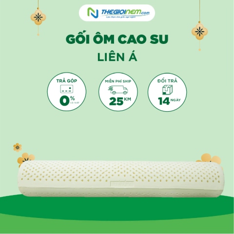 Gối Ôm Cao Su Liên Á Giảm Giá 10% + Quà | Thegioinem.com