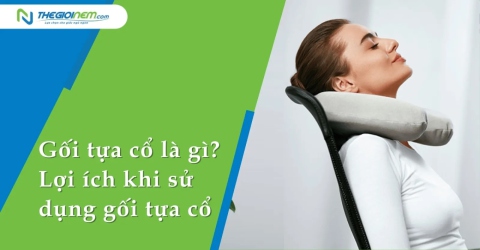 Gối tựa cổ là gì? Lợi ích khi sử dụng gối tựa cổ