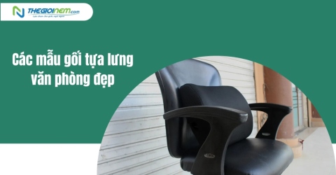 Các mẫu gối tựa lưng văn phòng đẹp