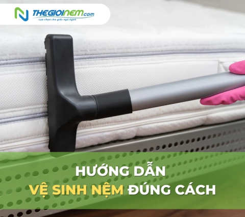 Hướng dẫn vệ sinh nệm đúng cách