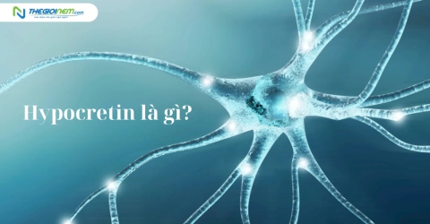 Hypocretin là gì? Hypocretin lqiên quan tới giấc ngủ thế nào?