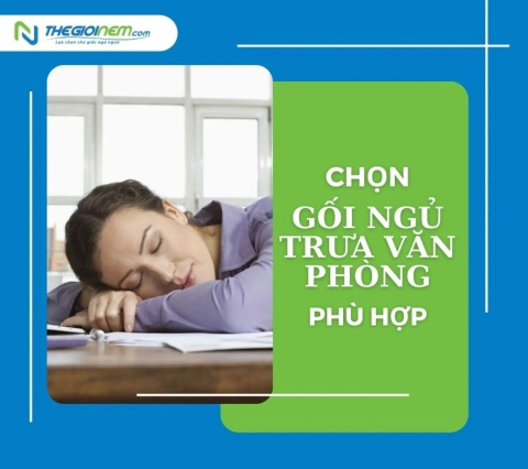 Kinh nghiệm chọn gối ngủ trưa văn phòng phù hợp