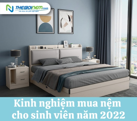 Kinh nghiệm mua nệm cho sinh viên năm 2024 - Thế Giới Nệm