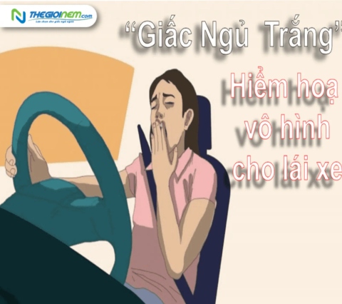 Giấc ngủ trắng là gì? Làm thế nào để vượt qua giấc ngủ trắng khi lái xe?