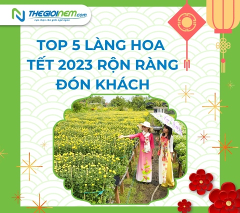 Top 5 làng hoa Tết 2023 rộn ràng đón khách