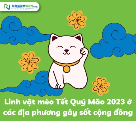 Linh vật mèo Tết Quý Mão 2023 ở các địa phương gây sốt cộng đồng