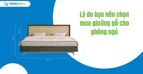 Lý Do Bạn Nên Chọn Mua Giường Gỗ Cho Phòng Ngủ | Thegioinem.com