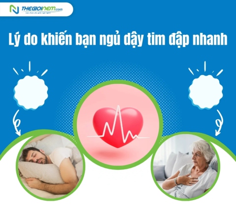 Lý do khiến bạn ngủ dậy tim đập nhanh