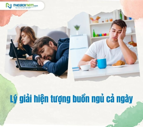 Lý giải hiện tượng buồn ngủ cả ngày