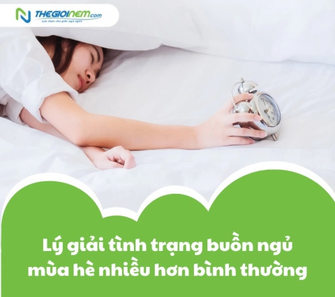 Lý giải tình trạng buồn ngủ mùa hè nhiều hơn bình thường