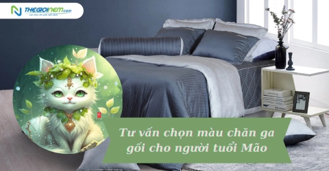 Tư vấn chọn màu chăn ga gối cho người tuổi Mão