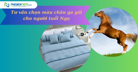 Tư vấn chọn màu chăn ga gối cho người tuổi Ngọ