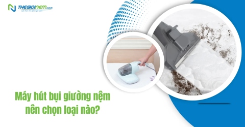 Máy hút bụi giường nệm nên chọn loại nào?