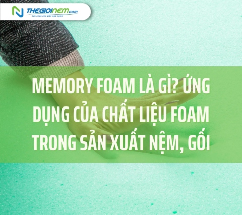 Memory Foam là gì? Ứng dụng của chất liệu Foam trong sản xuất nệm, gối