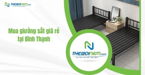 Mua giường sắt giá rẻ tại Bình Thạnh | Thegioinem.com