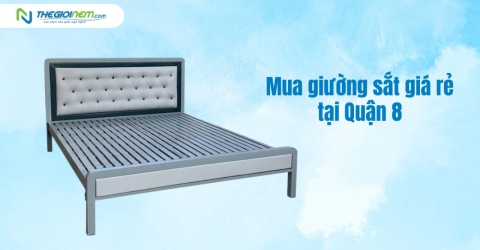 Mua giường sắt giá rẻ tại Quận 8 | Thegioinem.com