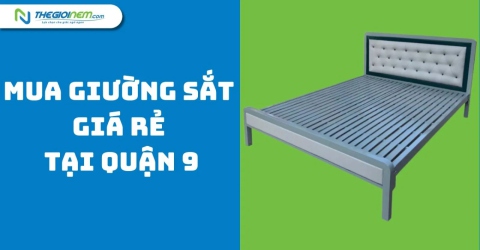 Mua Giường Sắt Giá Rẻ Tại Quận 9 | Thegioinem.com