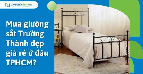 Mua giường sắt Trường Thành đẹp giá rẻ ở đâu TPHCM?