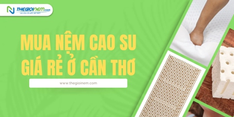 Mua Nệm Cao Su Giá Rẻ Ở Cần Thơ - Thegioinem.com