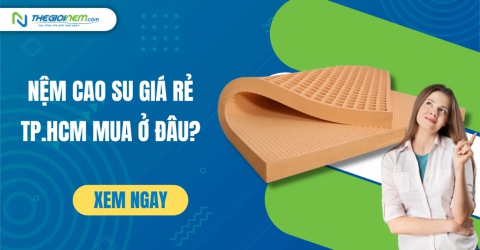 Nệm cao su giá rẻ Tp.HCM mua ở đâu? | Thegioinem.com