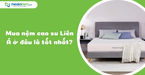 Mua Nệm Cao Su Liên Á Ở Đâu Là Tốt Nhất? | Thegioinem.com