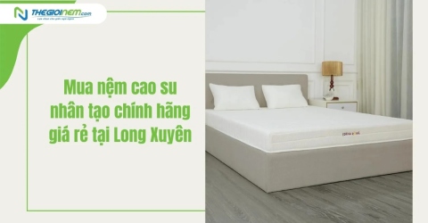 Mua Nệm Cao Su Nhân Tạo Chính Hãng Giá Rẻ Tại Long Xuyên | Thegioinem.com