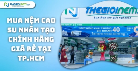 Mua Nệm Cao Su Nhân Tạo Chính Hãng Giá Rẻ Tại TPHCM | Thegioinem.com