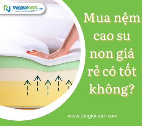 Mua nệm cao su non giá rẻ có tốt không?