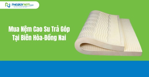 Mua Nệm Cao Su Trả Góp Tại Biên Hòa-Đồng Nai | Thegioinem.com