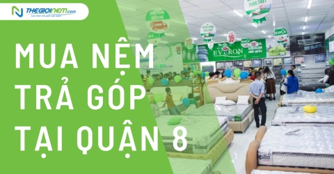 Mua nệm cao su trả góp tại quận 8 TPHCM | Thegioinem.com