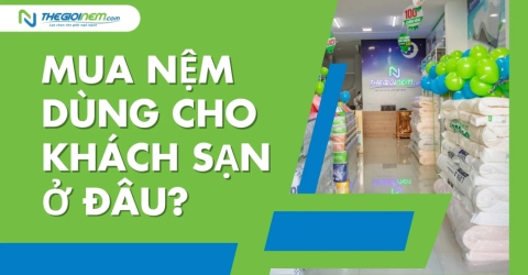 Mua nệm dùng cho khách sạn ở đâu?