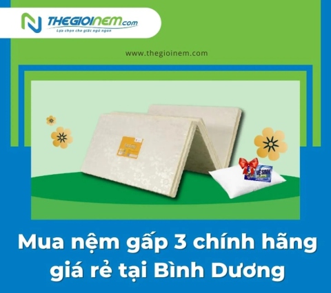 Mua nệm gấp 3 chính hãng giá rẻ tại Bình Dương | Thegioinem.com