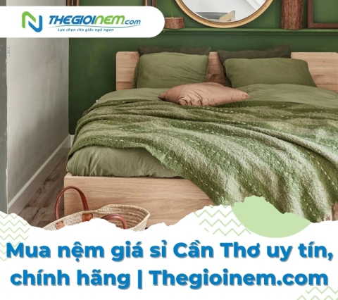 Mua nệm giá sỉ Cần Thơ uy tín, chính hãng | Thegioinem.com